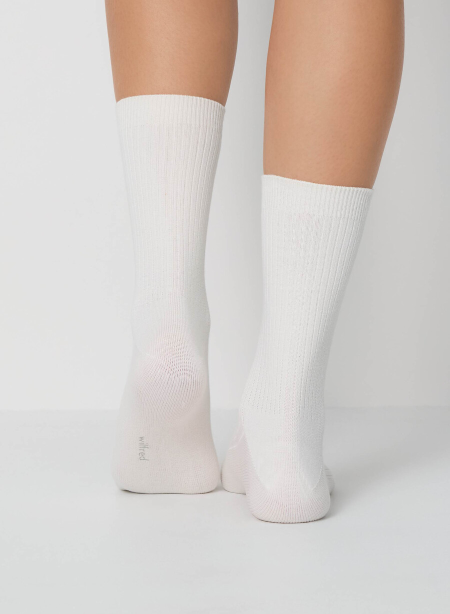 daily crew socken 3er-pack hellbirke