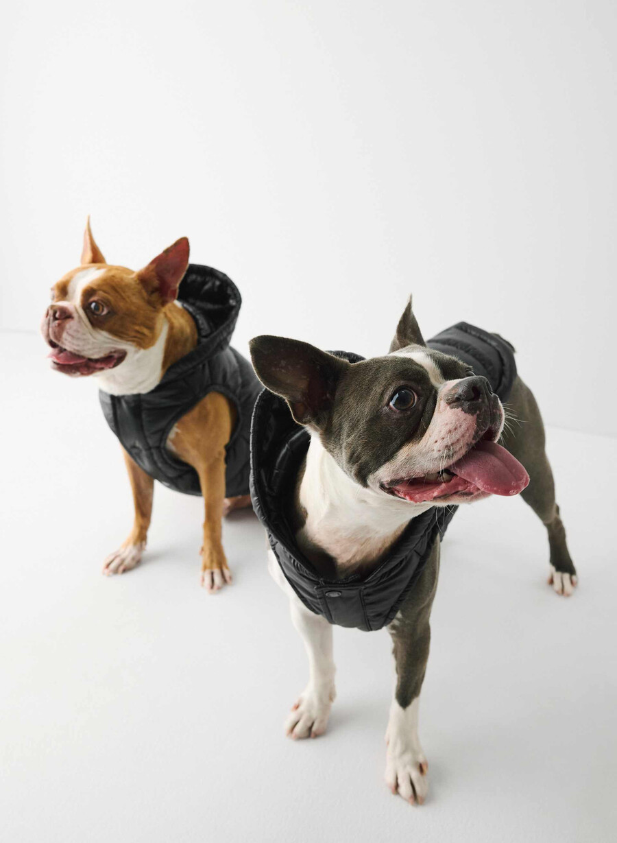 super ruff puff – hochglänzendes schwarz