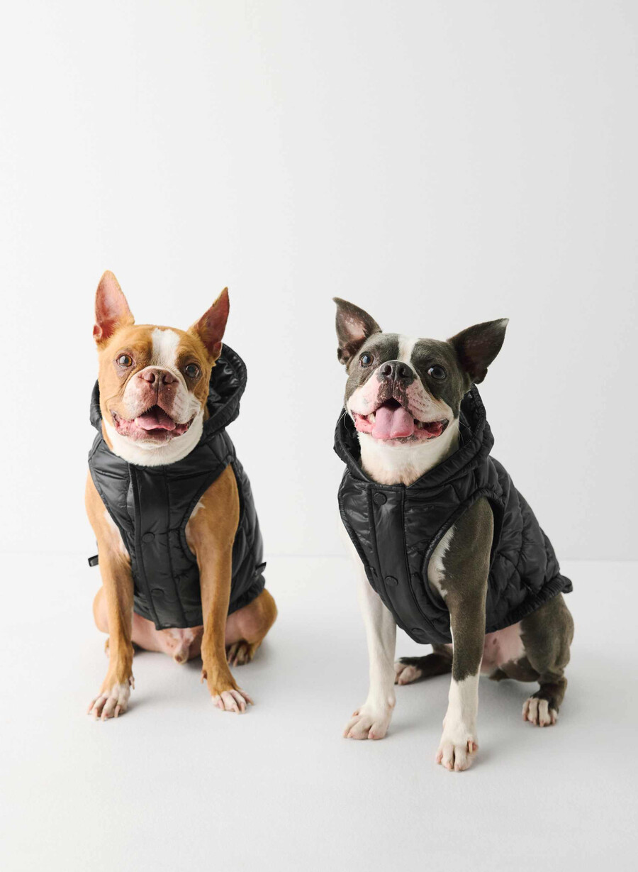 super ruff puff – hochglänzendes schwarz