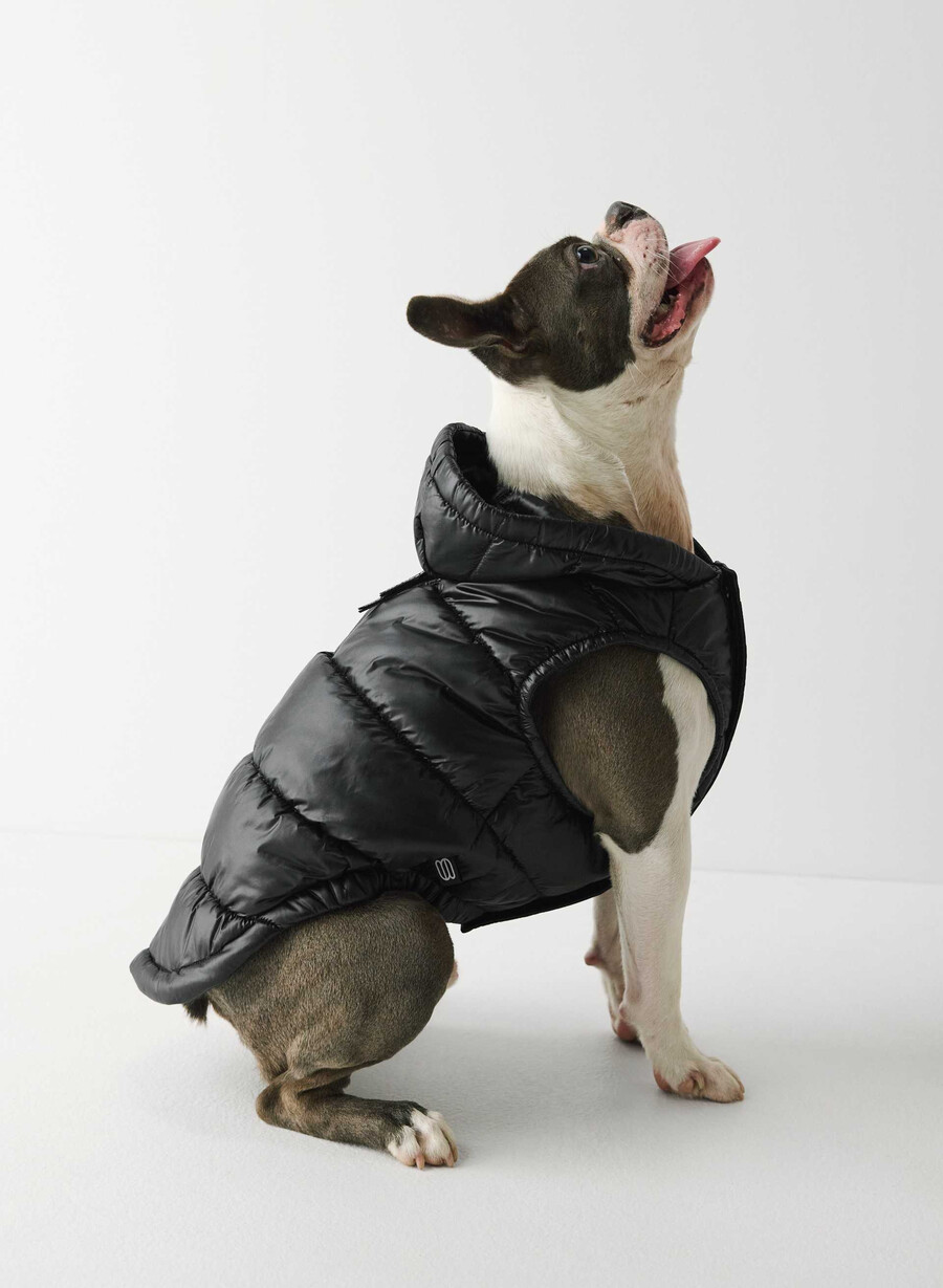 super ruff puff – hochglänzendes blinkendes rot